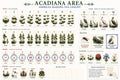 Acadiana American Mahjong Tile Set | Louisiana Collection | Pre-Order