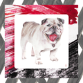 UGA Bulldog Artist Collab Mahjong Mat