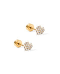 Screwback Stud Earrings - Leo Clear