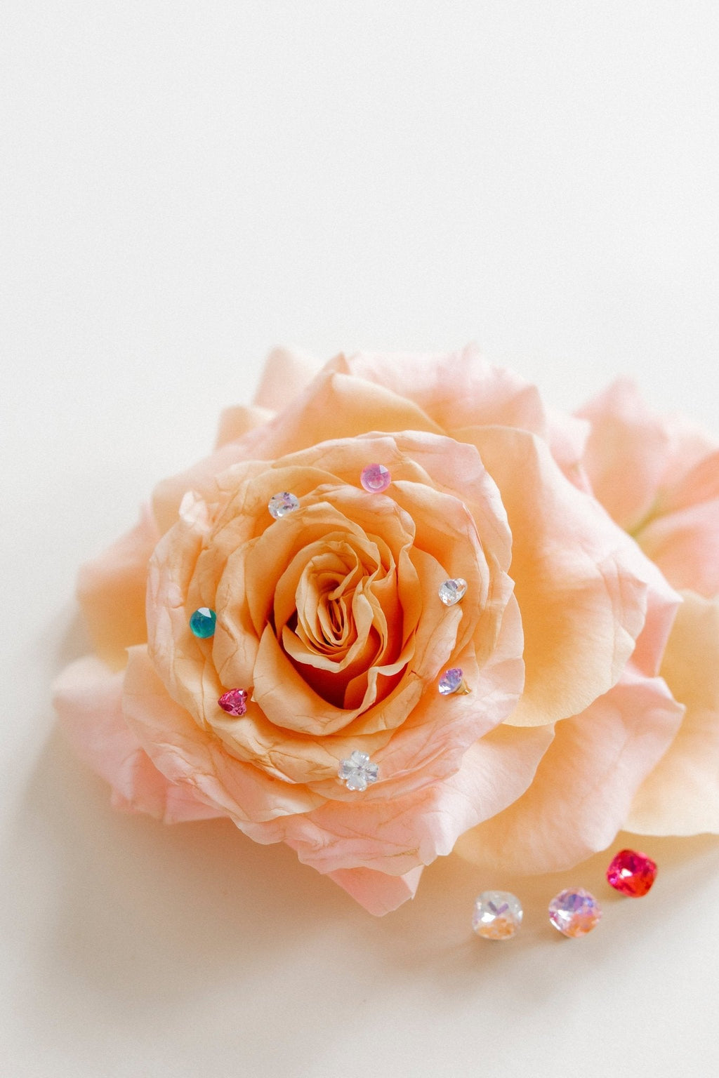 Screwback Stud Earrings Lux - Zuri Pastel Pink